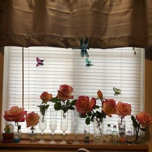 Meet your Posher, Maricela